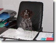 B�ra - 6 m�s�c�