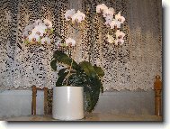 Milu�ka K�nov� z B�eclavi