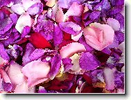 R��ov� n�dhera