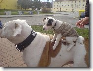 Je�t� mal� Agnes s k�mo�kou Nikitou