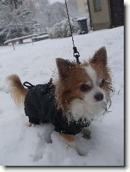 Kry�tofek ve sn�hu