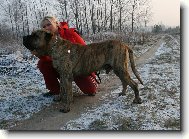 JUMBO de Casa del Presa