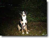 Abora z Velk�ho �jezda