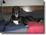 Arthur - Barneby od �ternbersk�ho hradu