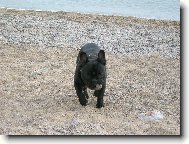 se�eru co uvid�m...