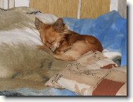 �ik�sek spink�:-)