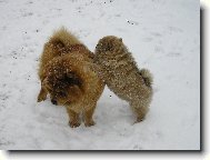 je�t� kousek a u� to uvid�m