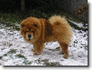 kone�n� pad�....