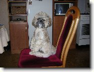 Tedy �ekaj�c� na jidlo