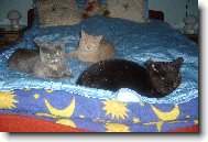 Mazl�ci na�� rodiny