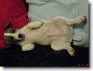 Tak takhle mi je nejl�p