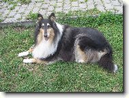 Anita Black Modr Iris