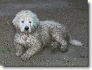 Jsem je�t� �uva� nebo u� fundl�k?