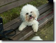 Odpo�inek na lavi�ce