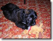 Je�t� �t���tko