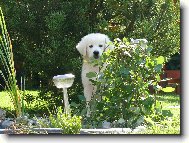 Tady m� snad nenajdou...