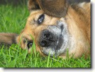 M�te se tak� tak fajn jako j�?