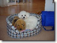 Arlenka - 10 m�s�c�