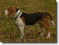 Billiek Olomouc 1rok