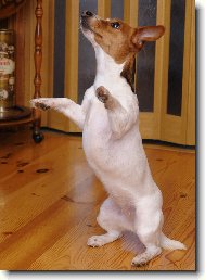 Na�e mal� Ka�enka