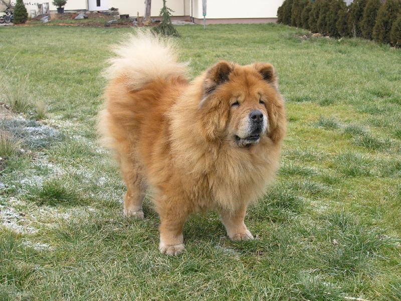 Foto: Gerinka-tohle byl n� mil��ek