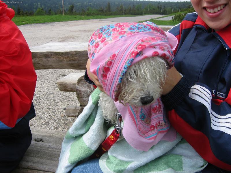 Foto: ps� babi�ka