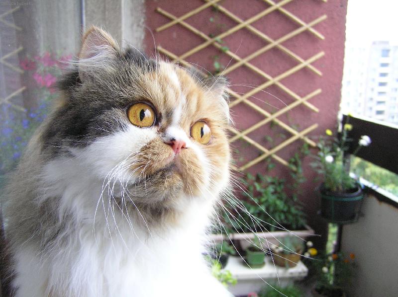 Foto: Neunikne� mi .......