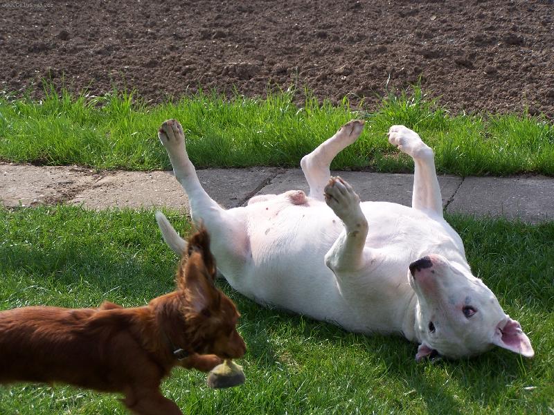 Foto: Takhle si spolu hrajeme-B�rt + Ad�lka