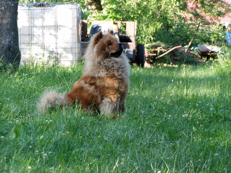 Foto: Py�n� princezna-Takhle Betinka ohrnuje nos nad ko�kami.