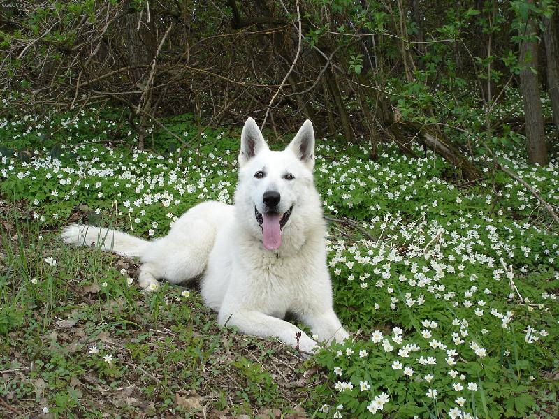 Foto: moje 1. narozeniny