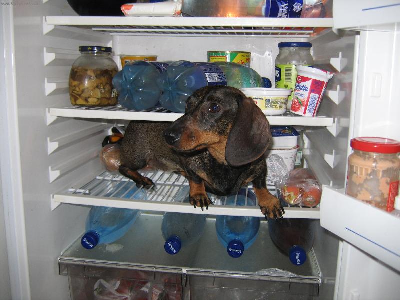 Foto: P��li� hork� l�to