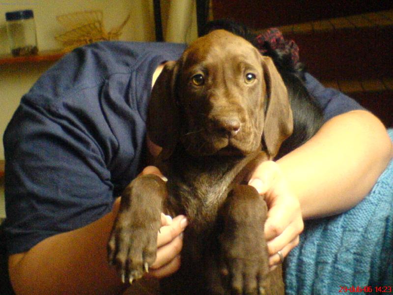 Foto: prvn� den doma-v tu dobu hodn� ted zni��m na� p�ijdu