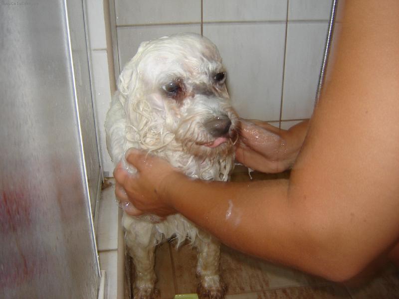 Foto: Den�sek-Byl jsem �pinavej,tak se musim umejt.....