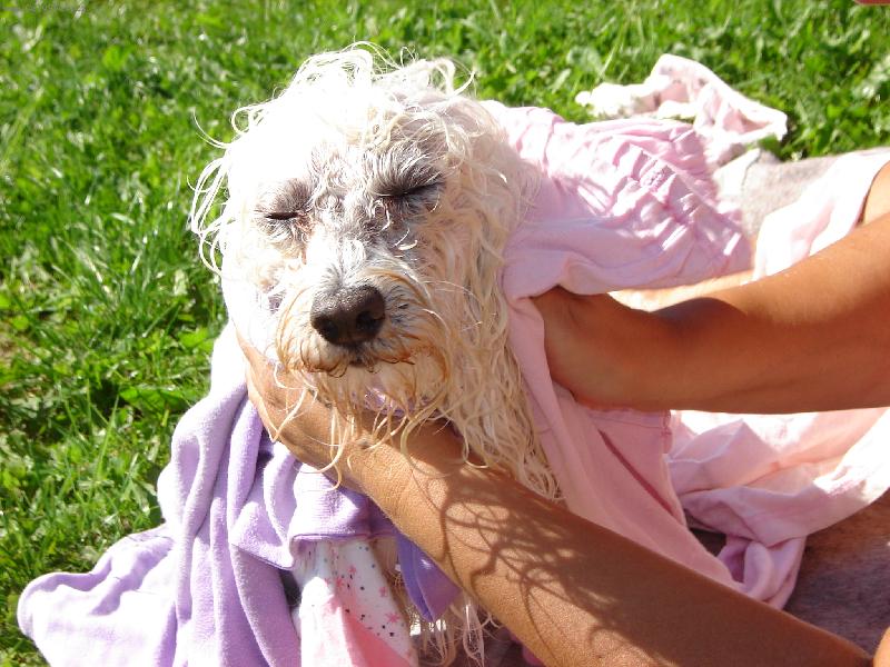 Foto: Den�sek-Musim uschnout,tak se su�im na slun��ku a pani�ka m� ut�r�...