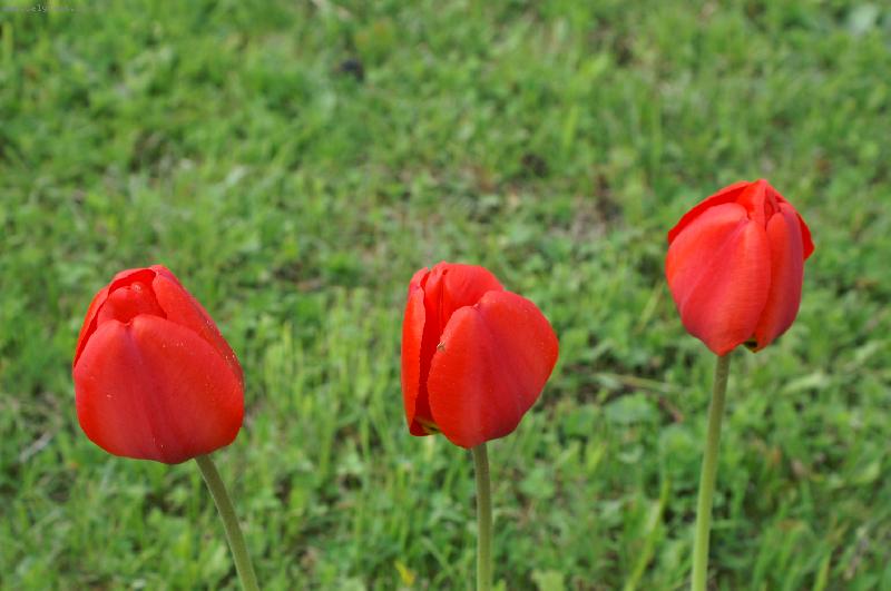 Foto: kr�sy Melechovsk� chaloupky:)