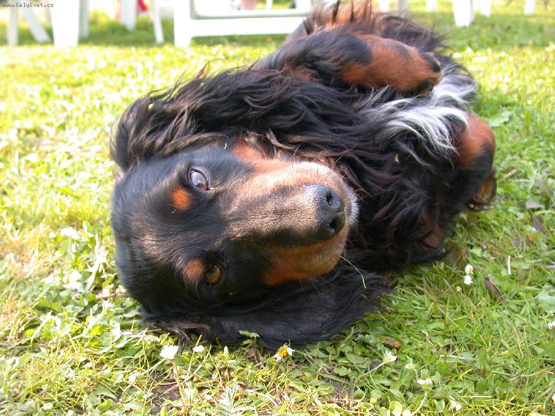 Foto: Vid�m sv�t naruby-odpoledn� odpo�inek