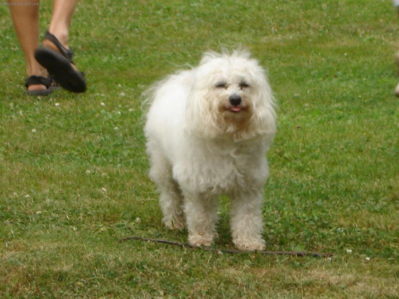 Foto: Den�sek-To je m�j jaz��ek....