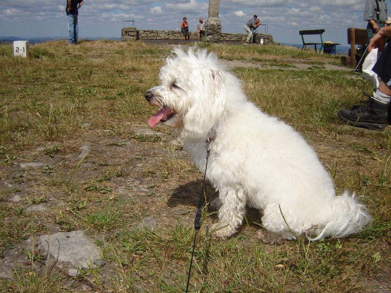 Foto: Den�sek-Tot�ln� znaven...kde je voda???