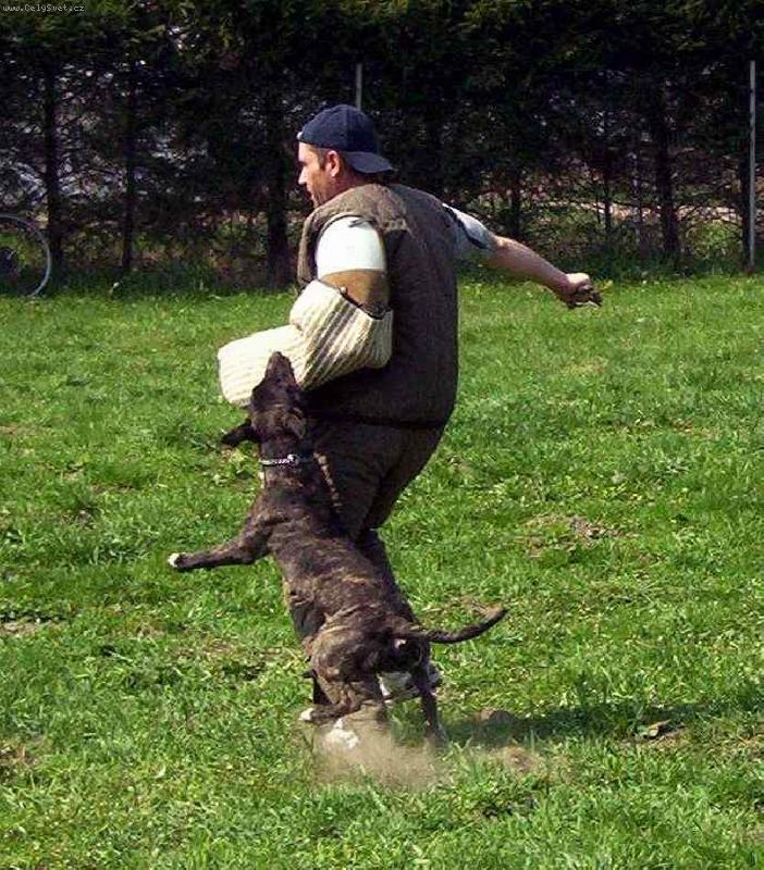 Foto: Bulik a jeho mozne vyuziti-Bulik zakrok