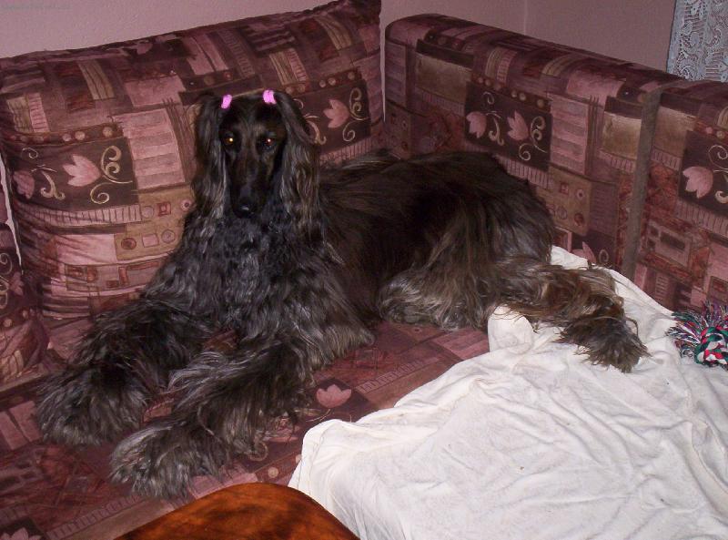 Foto: Modeling:o))-No princezna