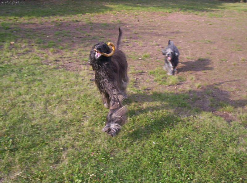 Foto: ��� Cidinka dostala klac��ek-a ned�m:o))