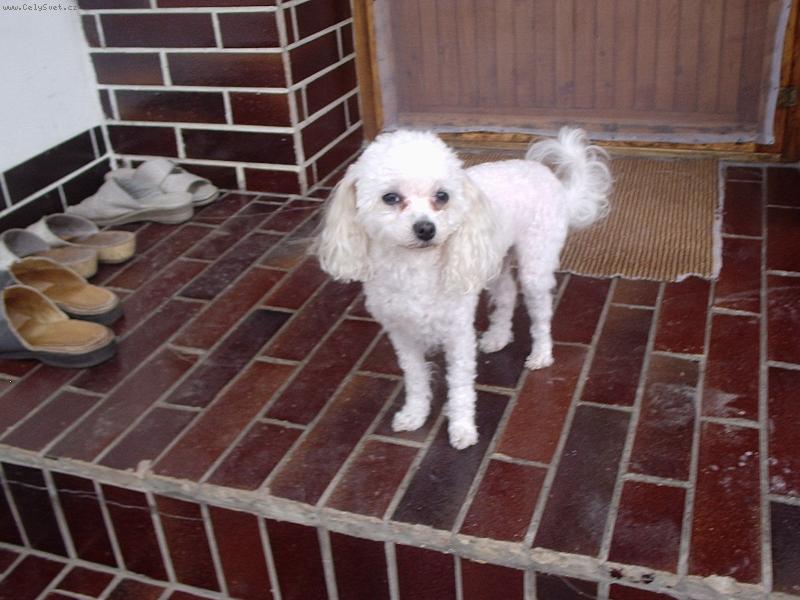 Foto: Zor�a-kdy� se vykoupu