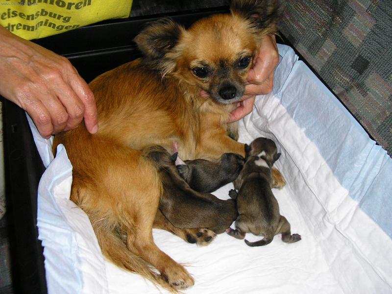 Foto: Tak, a jsme na sv�t� v�ichni !!!