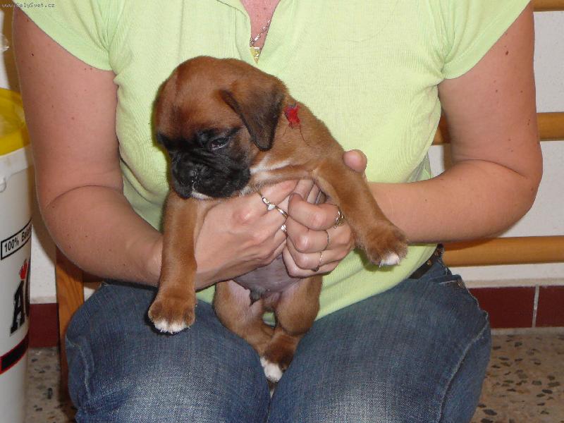 Foto: Na�e nov� miminko-Akime 28 dn�