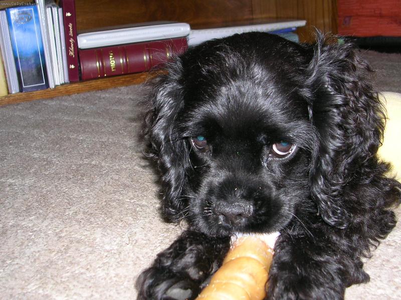 Foto: Jimi-Jimi kou�e hra�ku