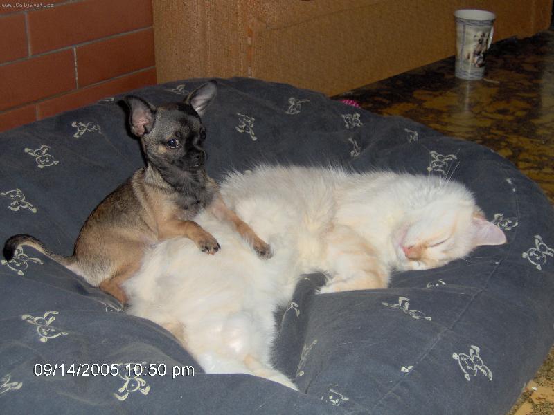 Foto: Jsem v�t�z :))