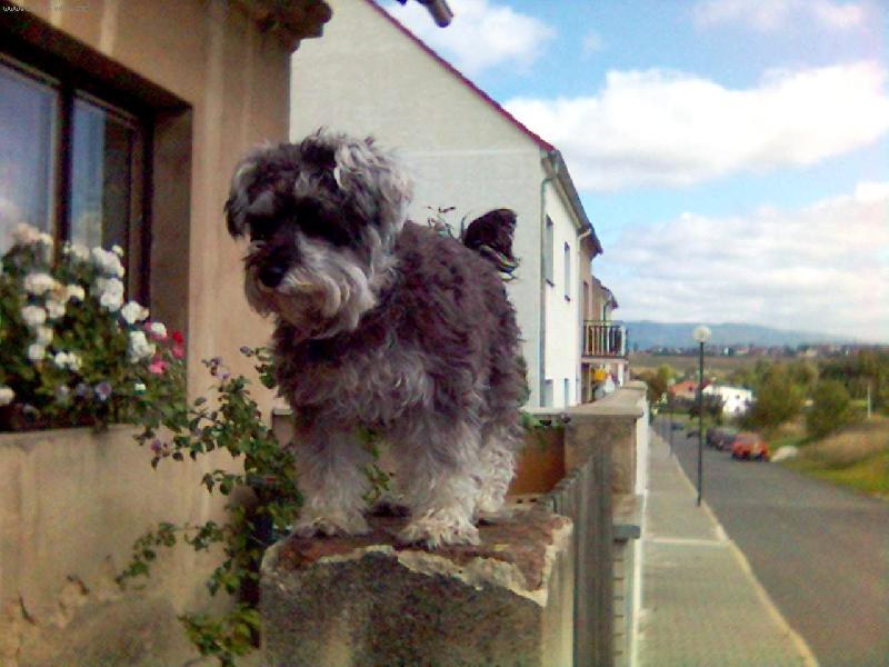 Foto: Bettynka hl�d�