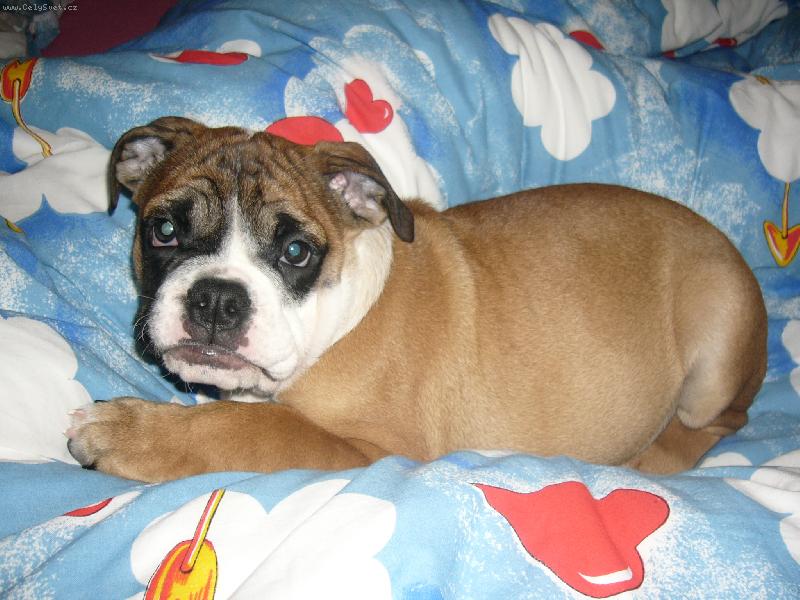 Foto: Bone�ek v oblac�ch