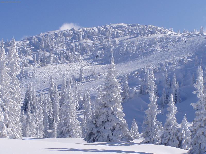 Foto: jako v poh�dce-zima