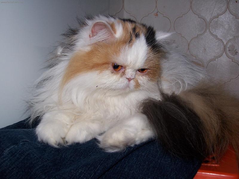 Foto: Ad�lka-Ko�i�� pohoda